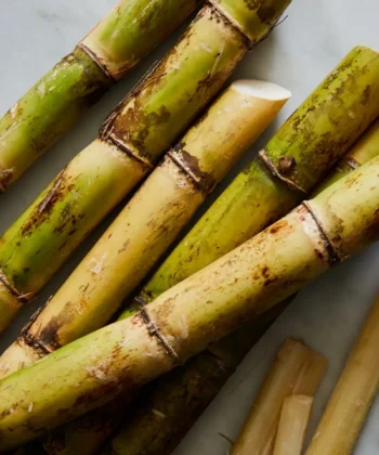Sugarcane