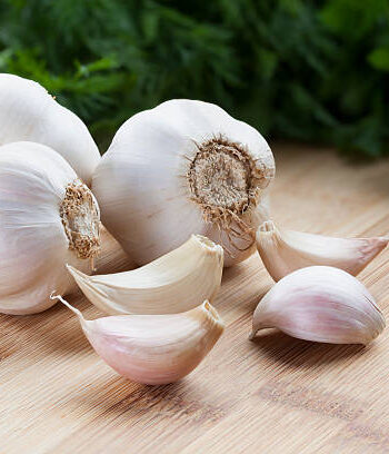 garlic