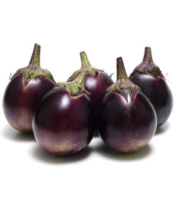 round brinjal